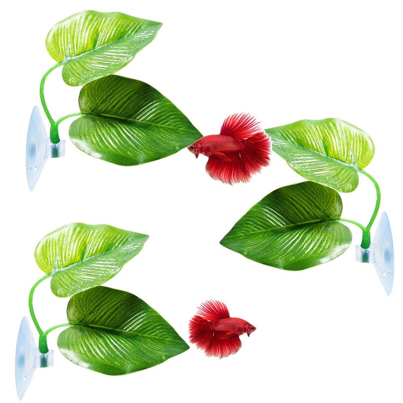 CousDUoBe 3 Pack Betta Fish Leaf Pad Improves Betta's Health by Simulating The Natural Habitat - Natural, Organic, Comfortable Rest Area for Fish Aquarium Ornaments - Image 1